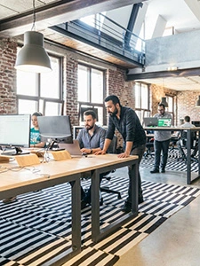 Yeşil Kökler finans platformu